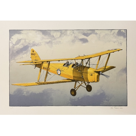 Tiger Moth